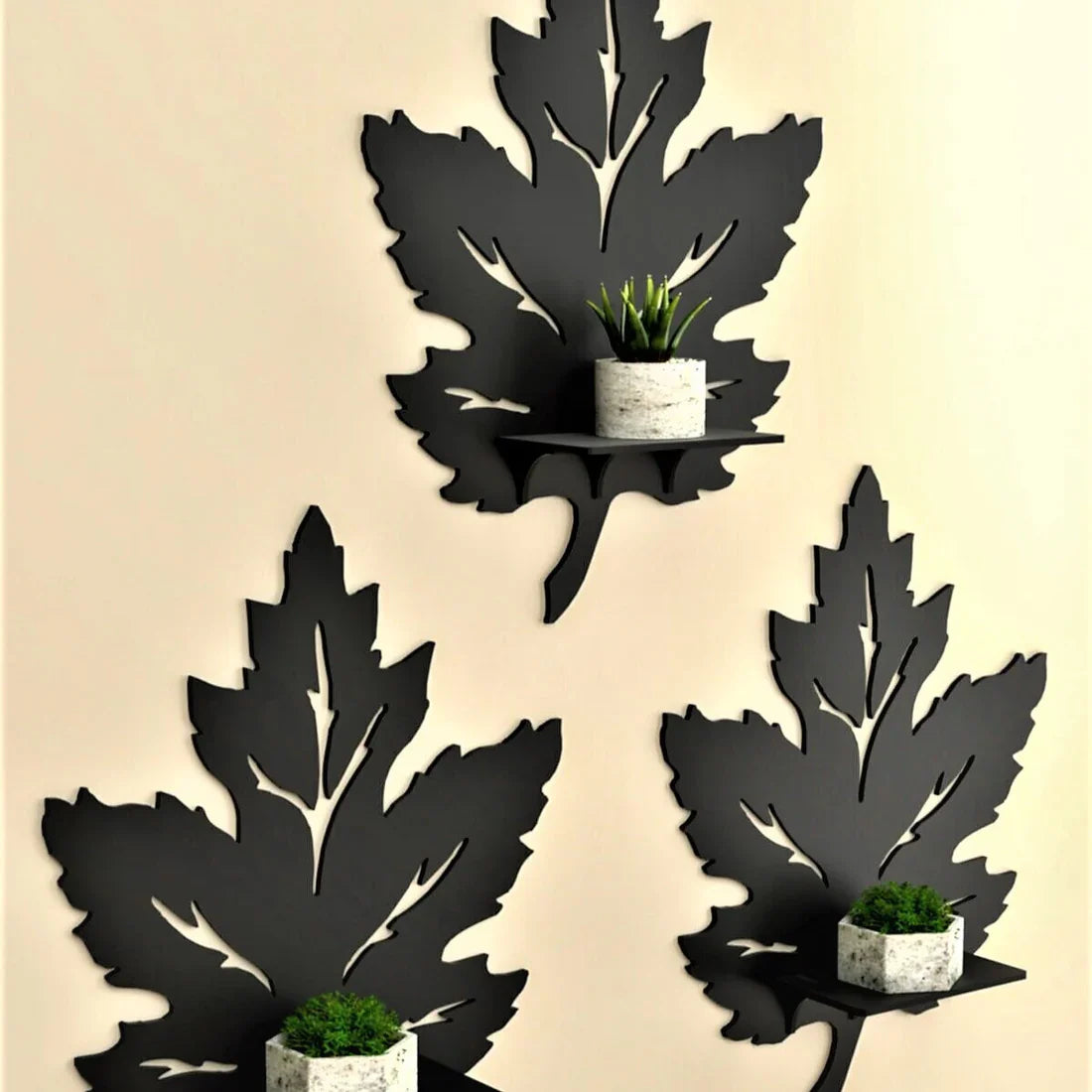 4-Piece Nature Leaf Décor Shelves – 6 Inch