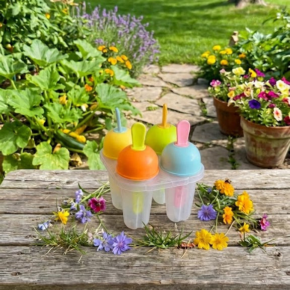 BPA Free 4 In 1 Popsicle Maker Set